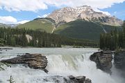 11 - Athabasca Falls - IMG_1070